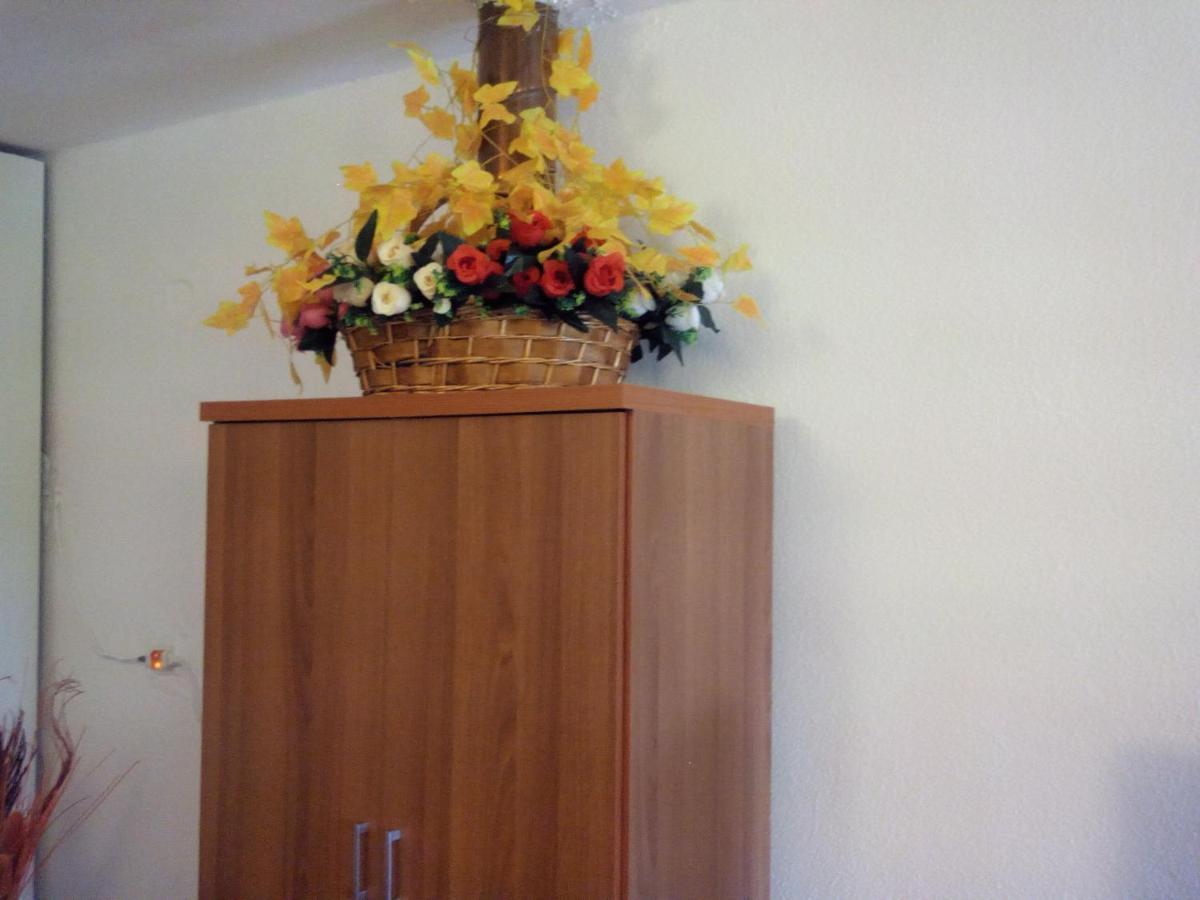 Maison Des Amis Vatopédhion Екстериор снимка