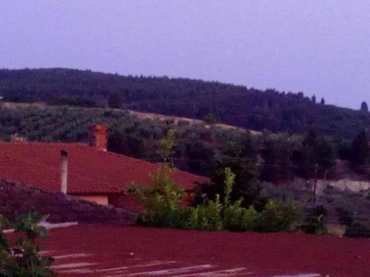 Maison Des Amis Vatopédhion Екстериор снимка
